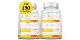 Energysyl (6 Month Supply)