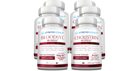 Bloodsyl (3 Month Supply) & Cholestrin (3 Month Supply)