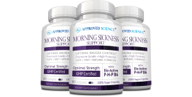 Morning Sickness Support (3 Bottles)